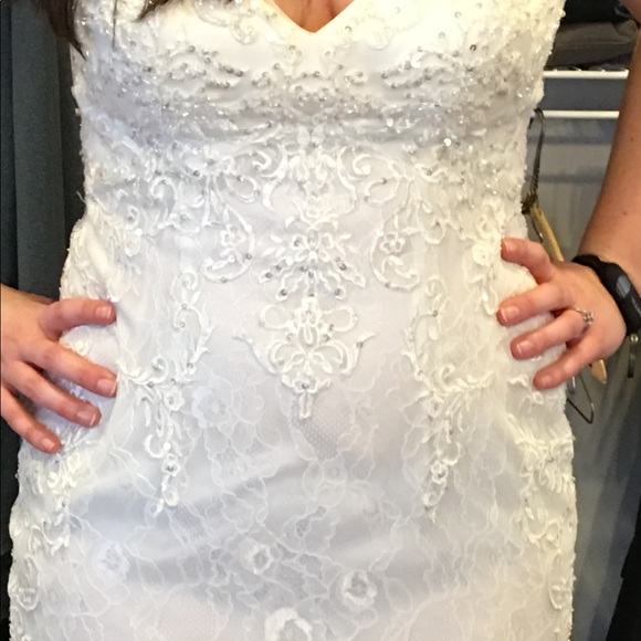 Galina Signature SWG675 NWOT - Picture 3 of 7